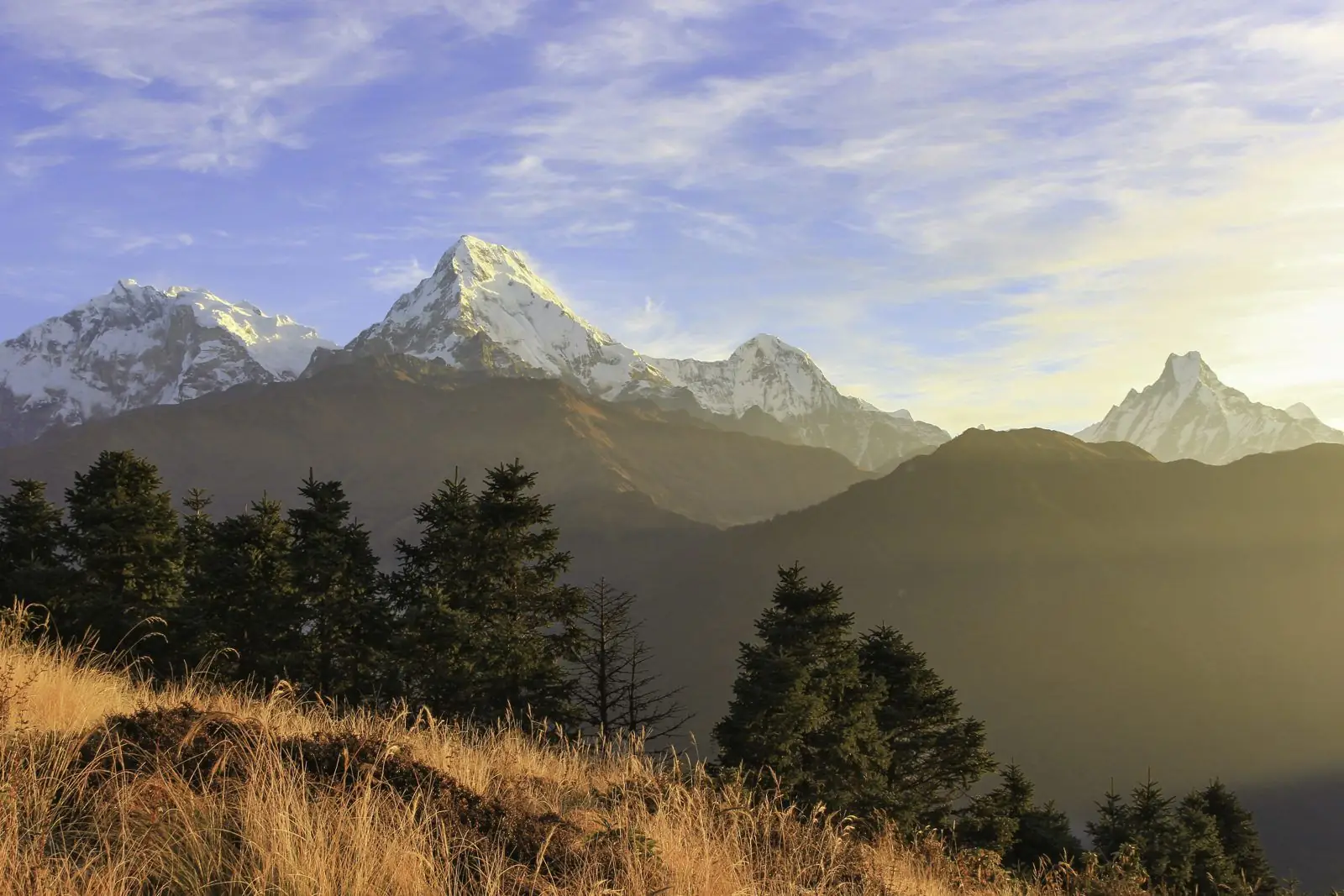 Annapurna peaks at sunrise above forested ridges