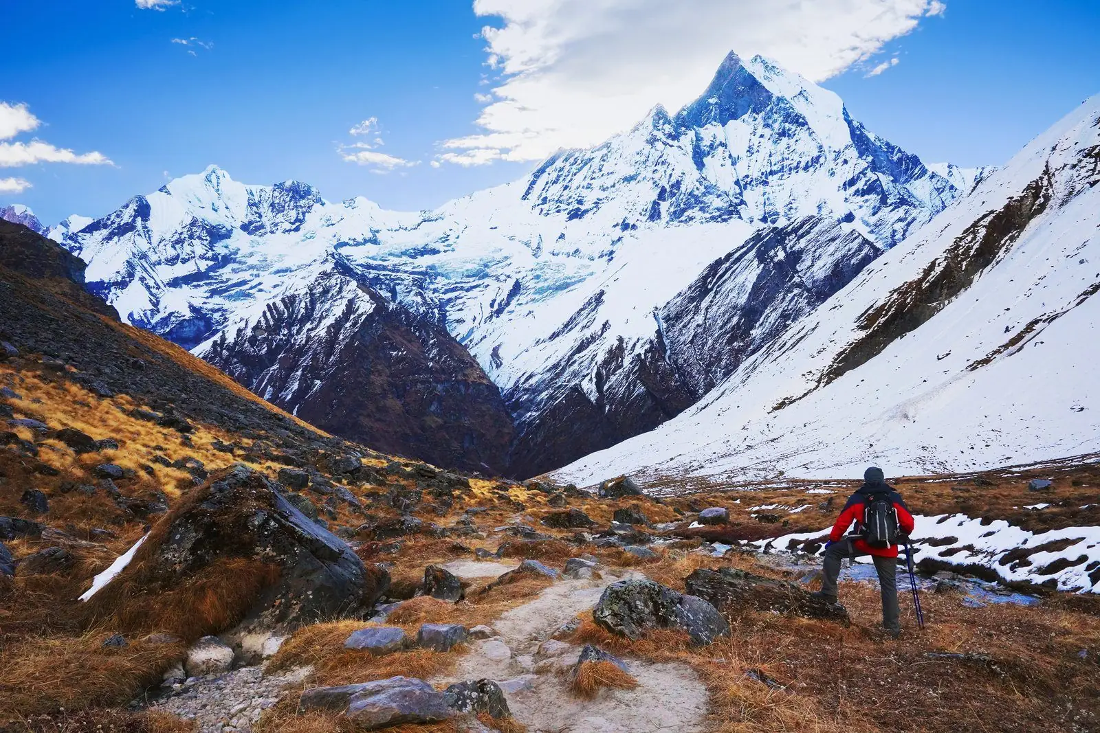 Trekker on a mountain trail looking towards the fish-tail peak of Machhapuchhre