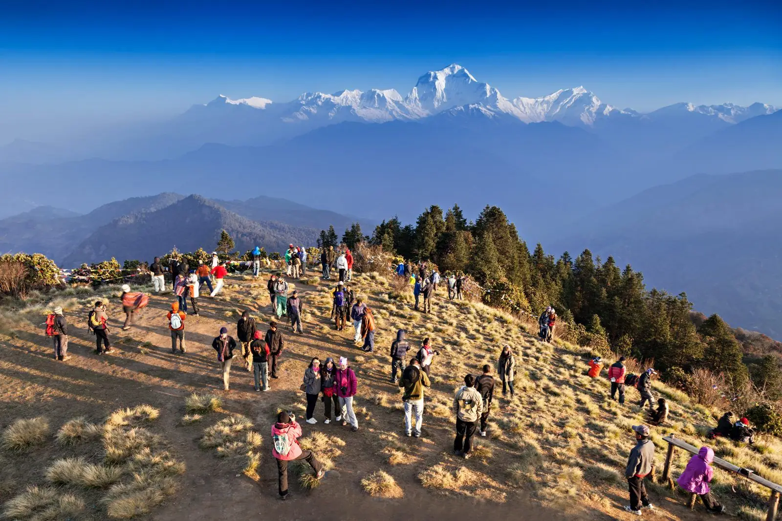 Crowd of trekkers at a sunrise viewpoint with the Dhaulagiri range behind
